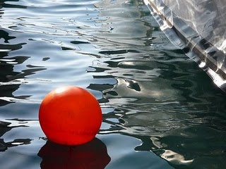 un naso rosso sul fiume un naso rosso sul fiume